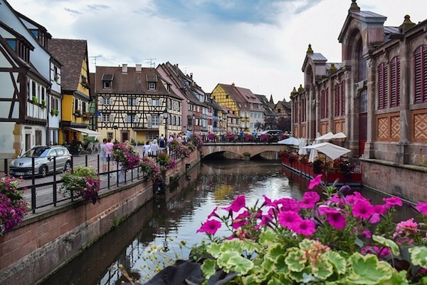 Le Confort de l Ours Colmar