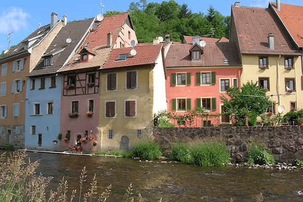 Le Confort de l Ours Colmar